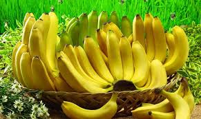 Jalgaon Banana