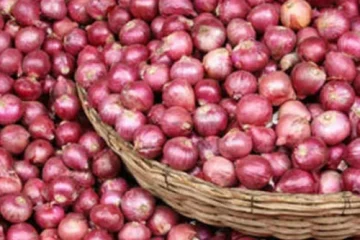 lasalgaon-onion-500x500