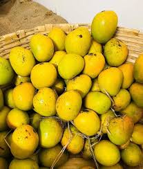 Mankurad mango gi tag